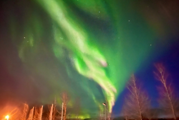 Aurora Borealis